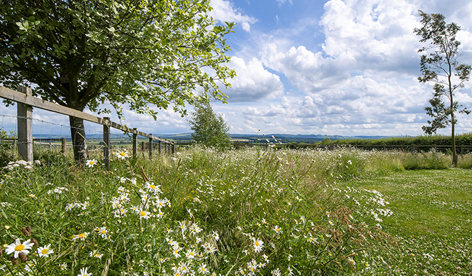 A garden design in East Lothian